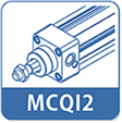 MCQI2